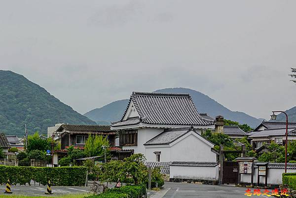 pic pimg tw look2up 1704688681 4080434493 g n jpg