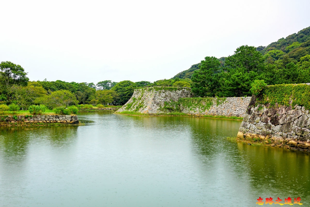 pic pimg tw look2up 1705984893 2880066915 g l jpg