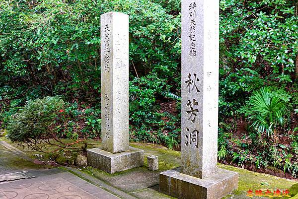 【山陽.山口】日本特別紀念物 「秋芳洞」-欣賞億萬年石灰岩鐘乳石,感受大自然的鬼斧神工。 12 pic pimg tw look2up 1709261390 2892956596 g n jpg