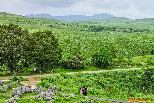 【山陽.山口】秋吉台~日本最大的喀斯特地形 (含:秋芳洞-秋吉台路線、秋芳洞秋吉台美食) 7 pic pimg tw look2up 1709265781 2506658394 g n jpg
