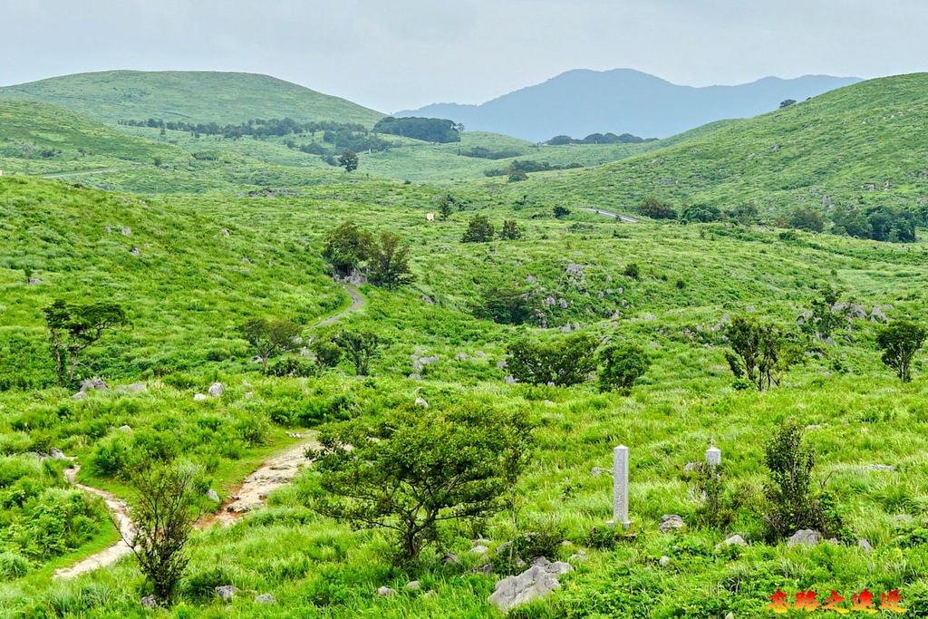 【山陽.山口】秋吉台~日本最大的喀斯特地形 (含:秋芳洞-秋吉台路線、秋芳洞秋吉台美食) 6 pic pimg tw look2up 1709265781 3423787958 g l jpg