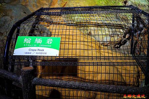 【山陽.山口】日本特別紀念物 「秋芳洞」-欣賞億萬年石灰岩鐘乳石,感受大自然的鬼斧神工。 30 pic pimg tw look2up 1709266250 2472718988 g n jpg