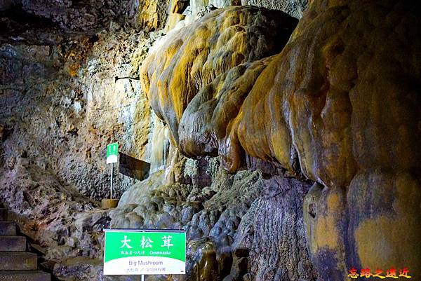 【山陽.山口】日本特別紀念物 「秋芳洞」-欣賞億萬年石灰岩鐘乳石,感受大自然的鬼斧神工。 28 pic pimg tw look2up 1709266250 34326889 g n jpg