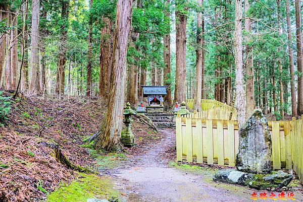 pic pimg tw look2up 1712564089 2570634573 g n jpg