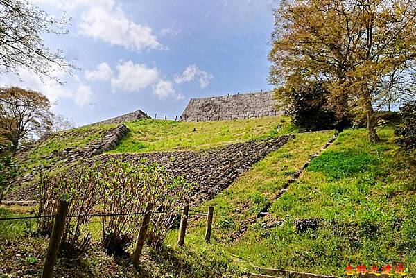 pic pimg tw look2up 1712994798 841662504 g n jpg