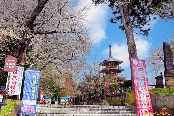 pic pimg tw look2up 1713258783 1579846920 g n jpg