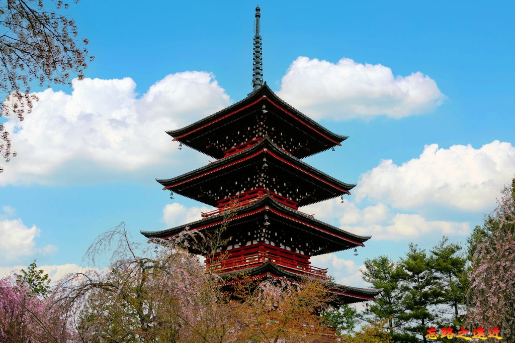 pic pimg tw look2up 1713258783 2169432746 g l jpg