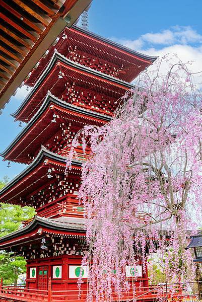 pic pimg tw look2up 1713258783 248548615 g n jpg