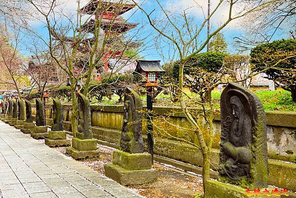 pic pimg tw look2up 1713258783 324984683 g n jpg