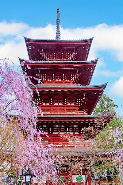 pic pimg tw look2up 1713258786 1124027774 g n jpg