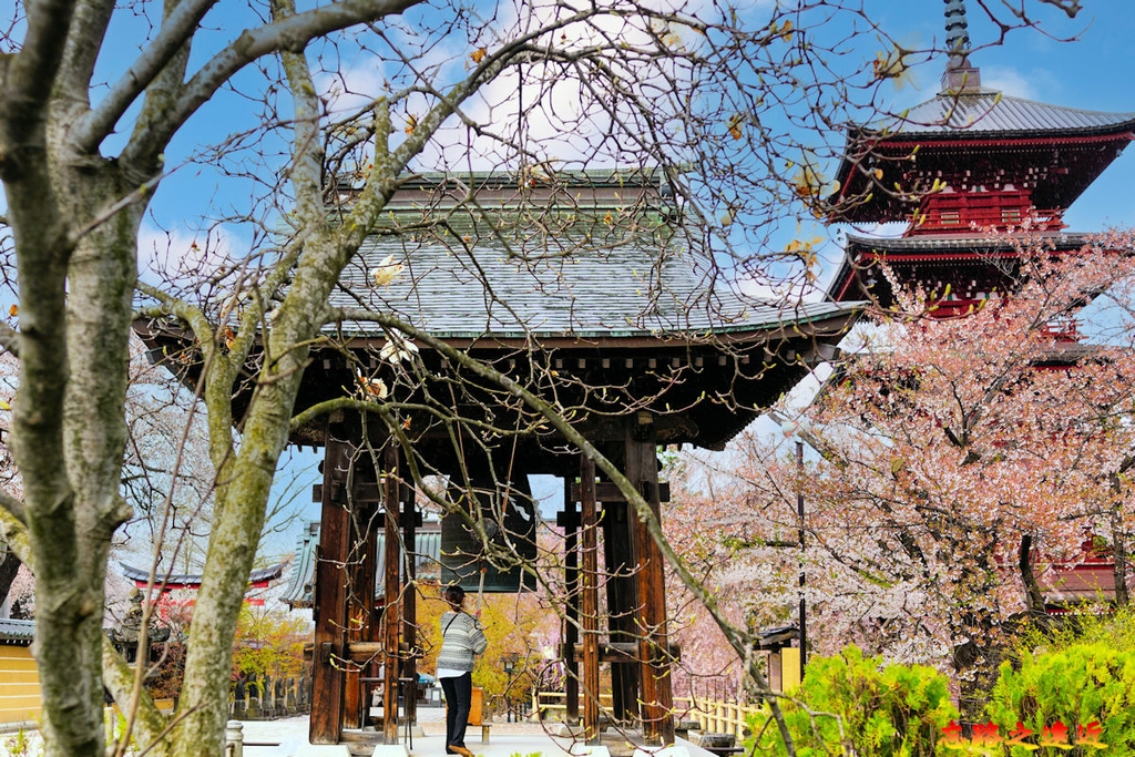 pic pimg tw look2up 1713258786 2935842304 g l jpg