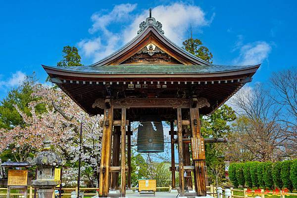 pic pimg tw look2up 1713258786 3820924154 g n jpg