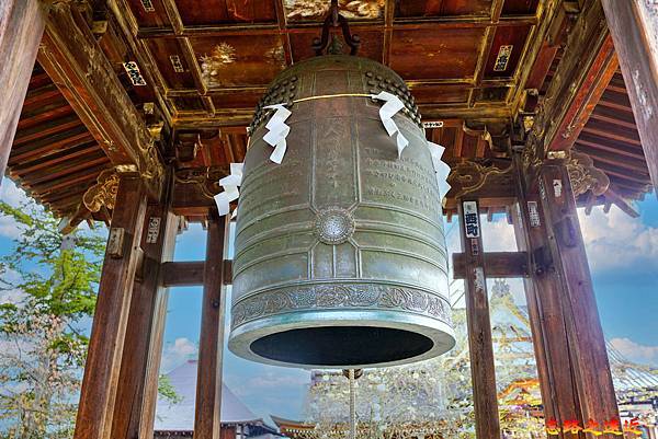 pic pimg tw look2up 1713258786 586439434 g n jpg