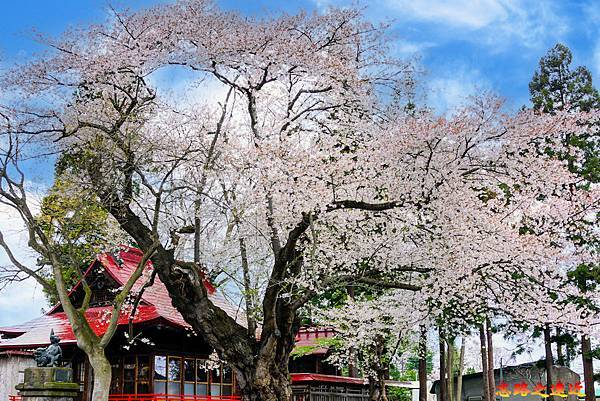 pic pimg tw look2up 1713258792 3304608009 g n jpg