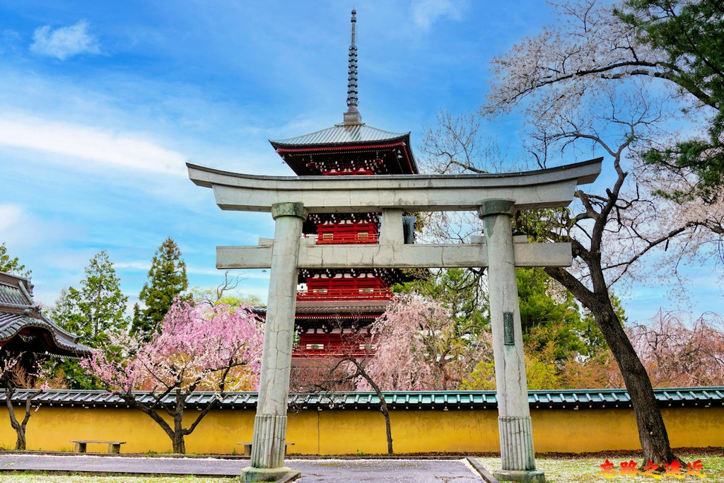 pic pimg tw look2up 1713258792 3342245166 g l jpg