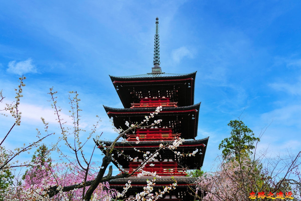 pic pimg tw look2up 1713258793 1803776335 g l jpg