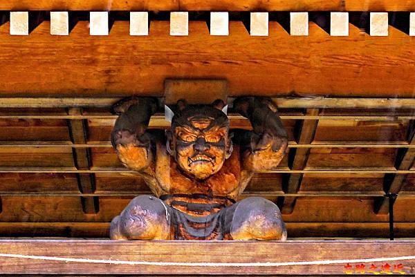 pic pimg tw look2up 1713414234 2138617877 g n jpg