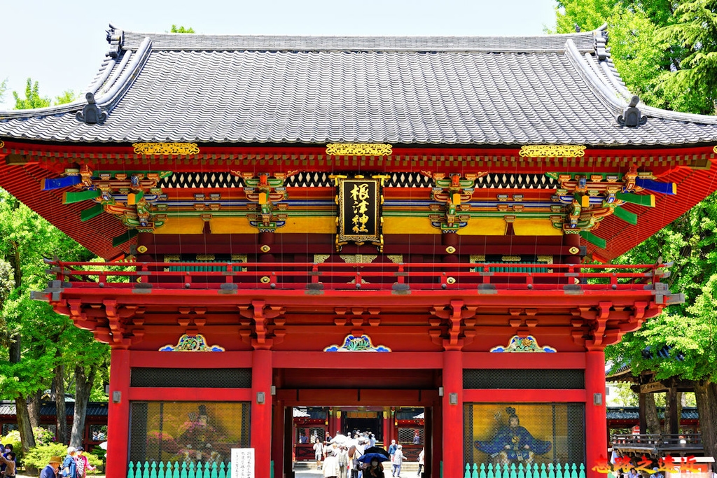 pic pimg tw look2up 1713935238 1022805709 g l jpg