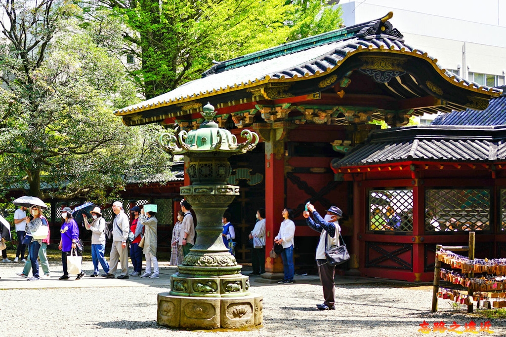 pic pimg tw look2up 1713935238 1342159566 g l jpg