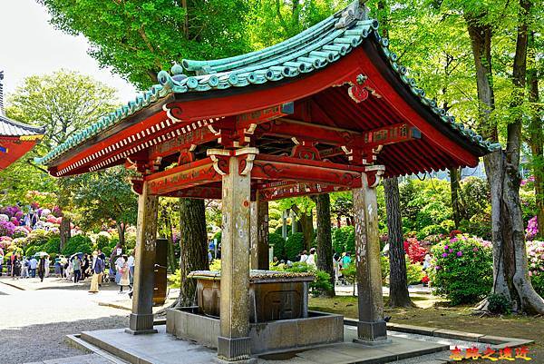 pic pimg tw look2up 1713935238 1725655847 g n jpg