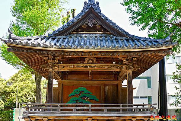 pic pimg tw look2up 1713935238 2226338492 g n jpg