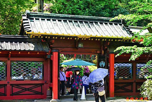 pic pimg tw look2up 1713935242 4121806619 g n jpg