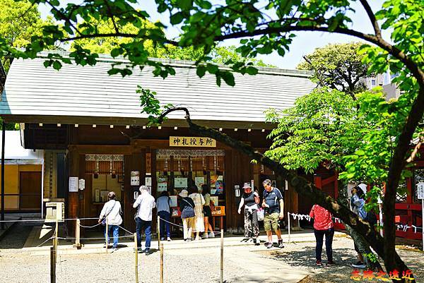 pic pimg tw look2up 1713935243 3590328867 g n jpg