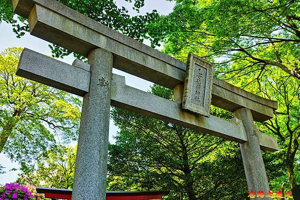 pic pimg tw look2up 1713935247 2815776097 g n jpg