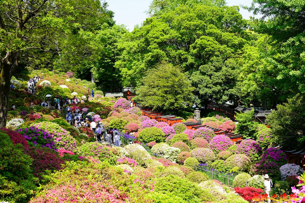 pic pimg tw look2up 1713935247 3234106518 g l jpg