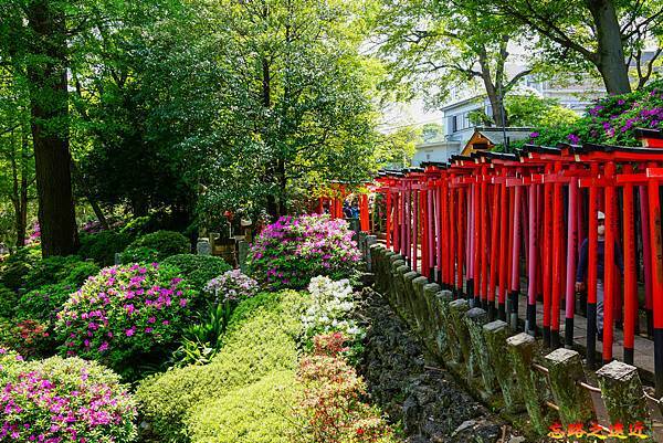 pic pimg tw look2up 1713935248 2139313581 g n jpg