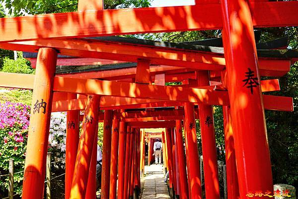 pic pimg tw look2up 1713935248 4208635415 g n jpg