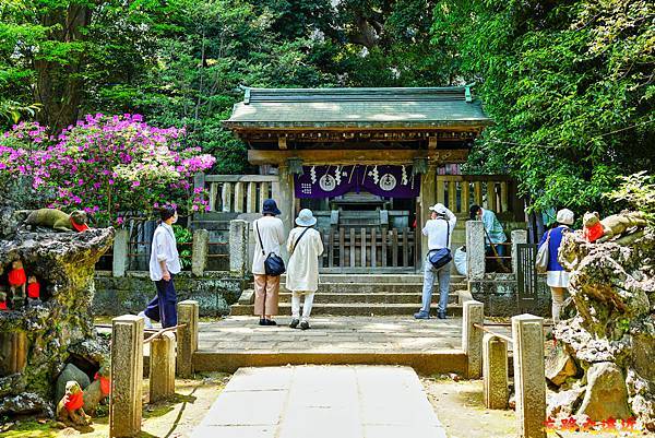 pic pimg tw look2up 1713935253 1103703333 g n jpg