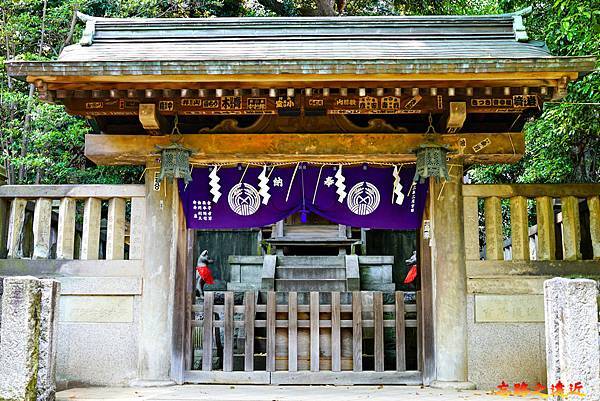 pic pimg tw look2up 1713935253 3229298126 g n jpg