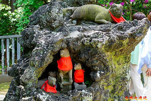 pic pimg tw look2up 1713935254 2299530649 g n jpg