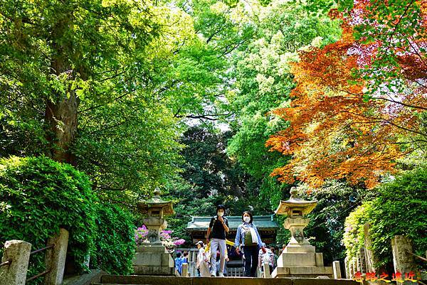 pic pimg tw look2up 1713935254 398332407 g n jpg