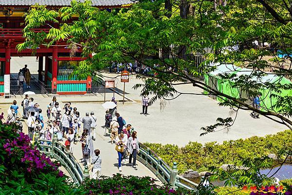 pic pimg tw look2up 1713943589 554383955 g n jpg