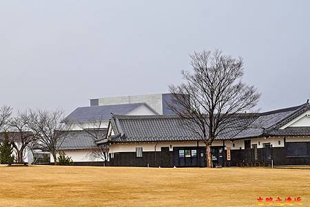 pic pimg tw look2up 1714283458 1479446424 g m jpg