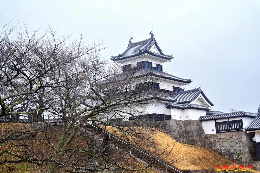 pic pimg tw look2up 1714283462 886646112 g l jpg