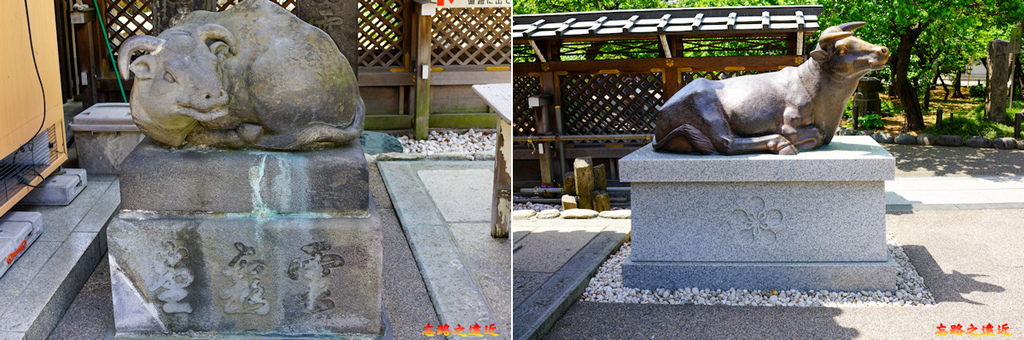 pic pimg tw look2up 1714619623 3407385519 g l jpg