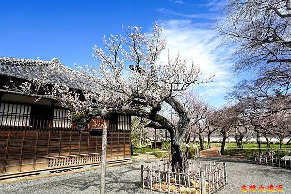 pic pimg tw look2up 1714970514 1141709755 g n jpg