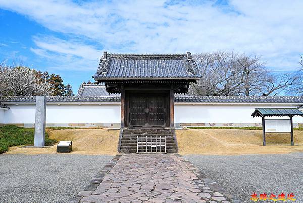 pic pimg tw look2up 1714970514 3606871194 g n jpg