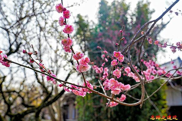 pic pimg tw look2up 1714970517 590472344 g n jpg