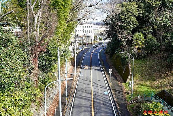 pic pimg tw look2up 1714970520 3965158130 g n jpg