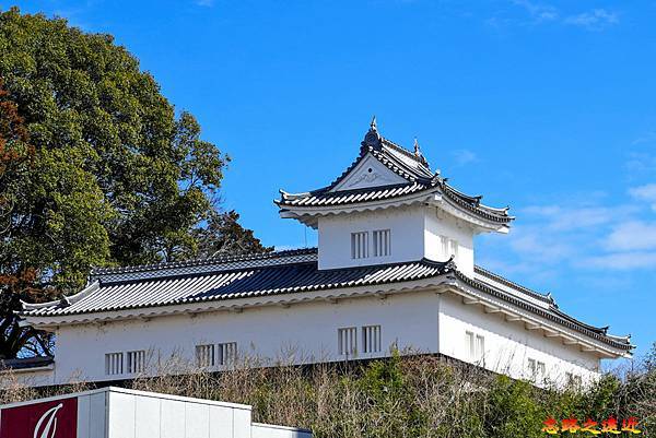 pic pimg tw look2up 1714970523 2107599567 g n jpg