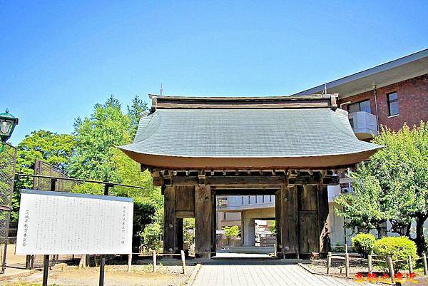 pic pimg tw look2up 1714970524 2546868123 g n jpg