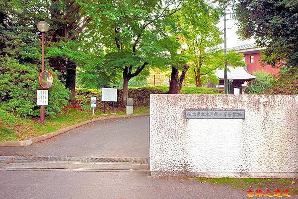 pic pimg tw look2up 1714970524 2564821154 g n jpg