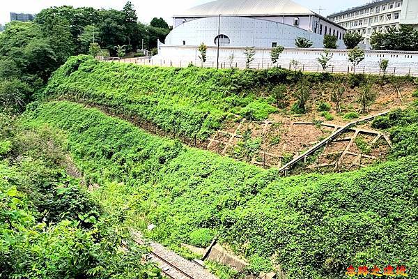 pic pimg tw look2up 1714970524 518854198 g n jpg