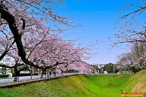 pic pimg tw look2up 1714970525 538296198 g n jpg