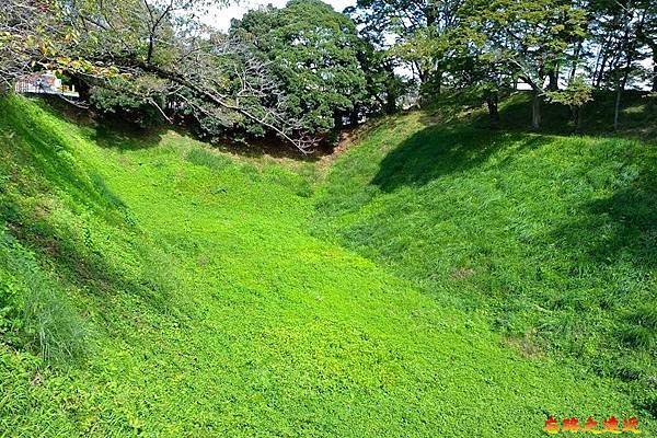 pic pimg tw look2up 1714970526 1111752730 g n jpg