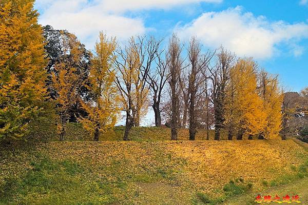 pic pimg tw look2up 1714970527 1864772061 g n jpg